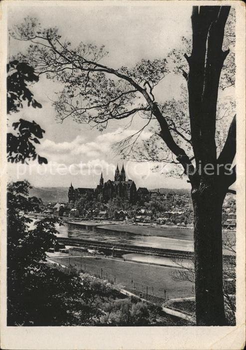 Meissen Elbe Sachsen Blick auf Albrechtsburg u.Dom