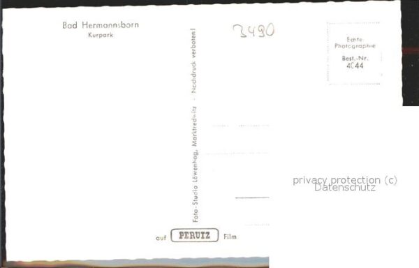 Bad Hermannsborn Kurpark – Bild 2
