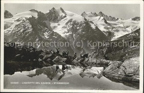 Cogne  Laghetto del Lauson