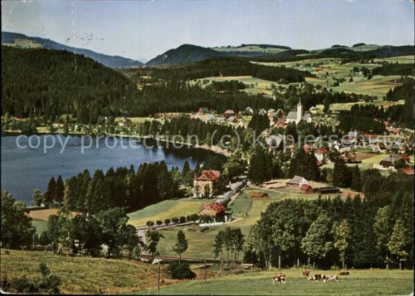 Titisee