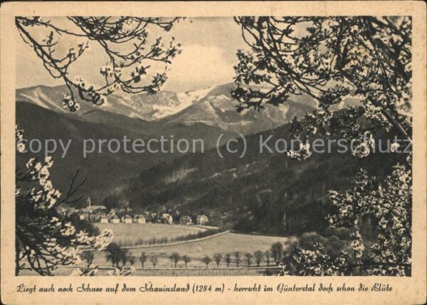 Guenterstal Freiburg mit Schauinsland