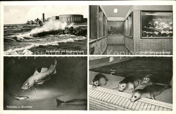 Wilhelmshaven Strandhalle mit Aquariumturm