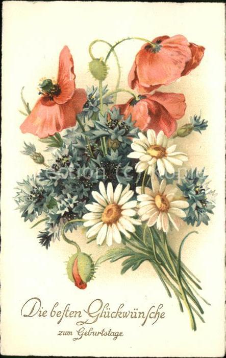 Blumen Glückwünsche Geburtstage Mohnblumen
