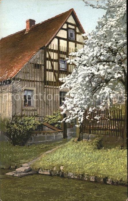 Baeume Trees Frühling Haus