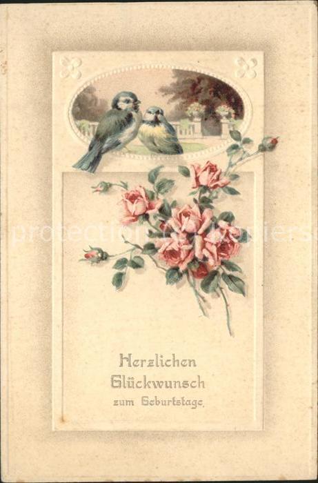 Geburtstag Glückwunsch Spatzen