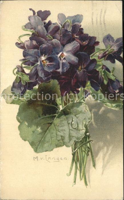 Kuenstlerkarte M. v. Langen Blumen Stiefmütterchen