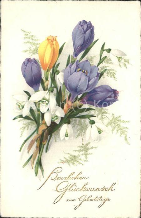 Geburtstag Krokusse