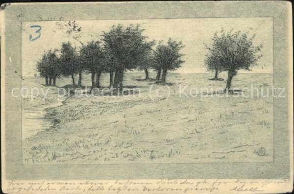 Baeume Trees Künstlerkarte