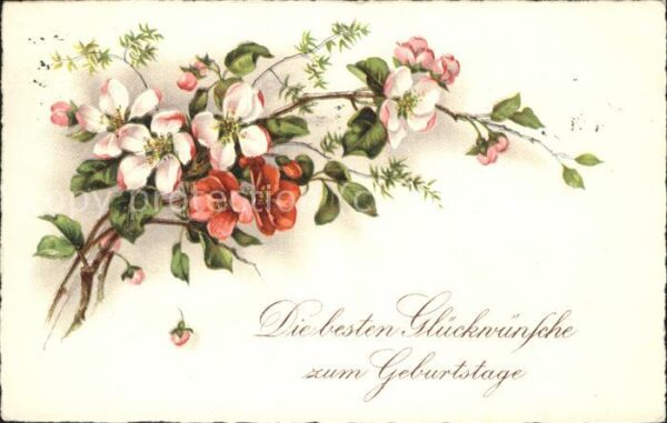 Geburtstag Blumen Rosen