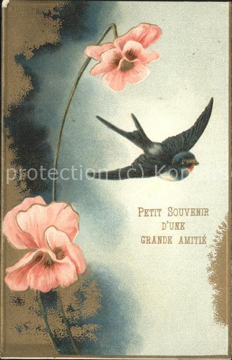 Voegel Petit Souvenir Grande Amitie Blume