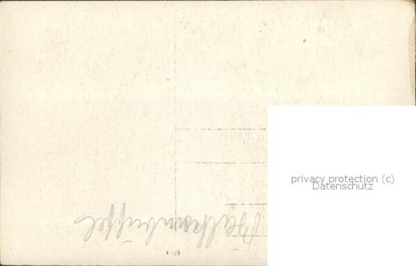 Kuehe Stier – Bild 2