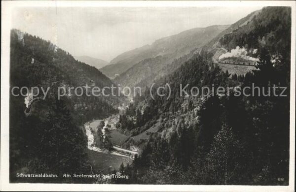 Bergbahn Schwarzwaldbahn Seelenwald Triberg