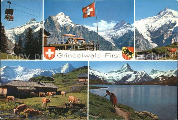 Sessellift Grindelwald Wappen Kühe Fahne Schweiz
