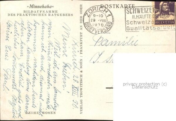Rosen Wilde Rosen Minnehaha – Bild 2