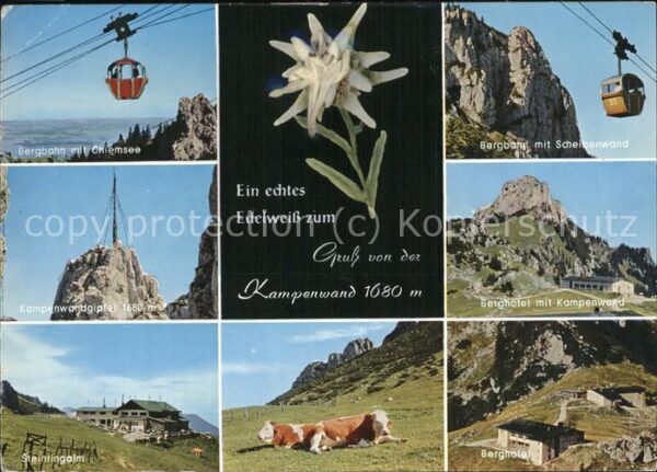 Edelweiss Seilbahn Kampenwand Kühe Bergbahn Chiem