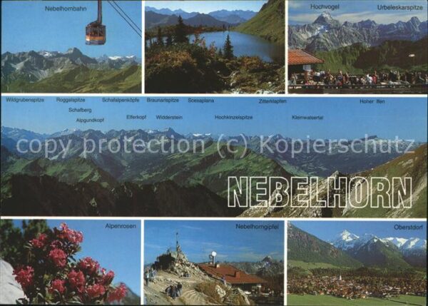 Seilbahn Nebelhorn Gipfel Alpenrosen