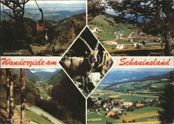 Seilbahn Ziegenbock Oberried Schauinsland Hafsgr