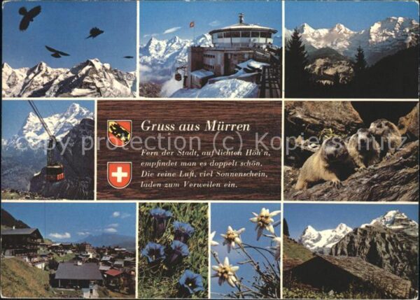 Seilbahn Wappen Edelweiss Murmeltiere Berner Obe