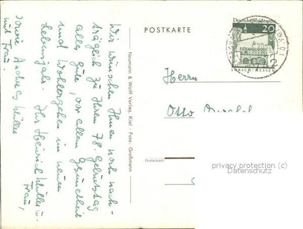 Rosen Strauss – Bild 2