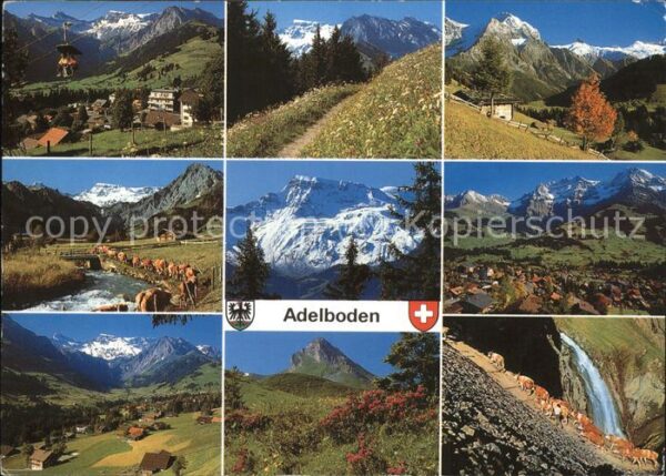 Sessellift Adelboden Wappen Kühe