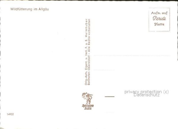 Reh Wildfütterung Allgäu – Bild 2