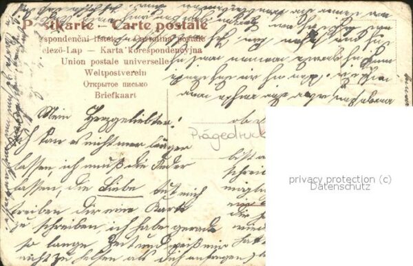 Brieftaube Carrier Pigeon voyageur Herzlichen Glückwunsch Geburtstag – Bild 2