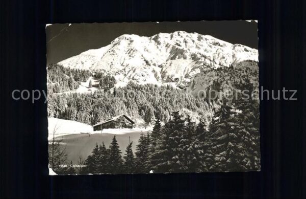 Fischen Allgaeu Alpengasthaus Gaisalpe