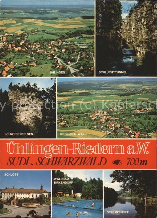 Riedern Wald