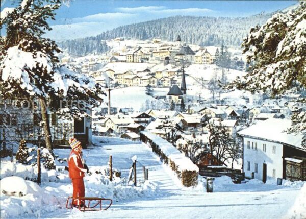 Bodenmais im Winter