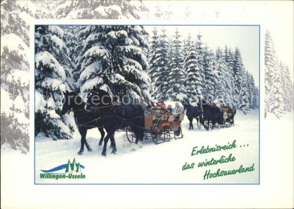 Usseln Pferdekutschenfahrten im Winter