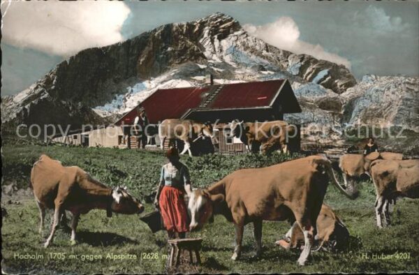 Garmisch-Partenkirchen Hochalm mit Kühen