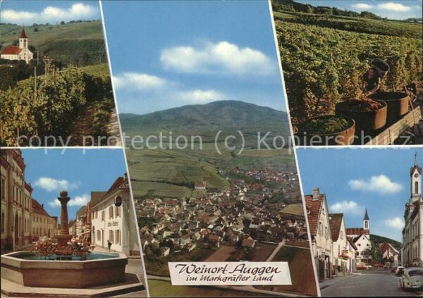 Auggen Weinlese u.Dorfbrunnen