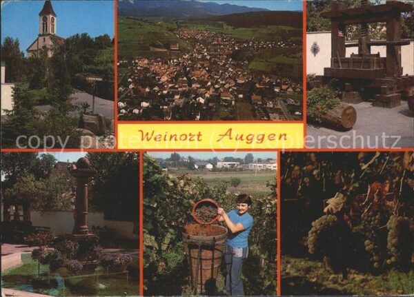 Auggen mit Weinlese