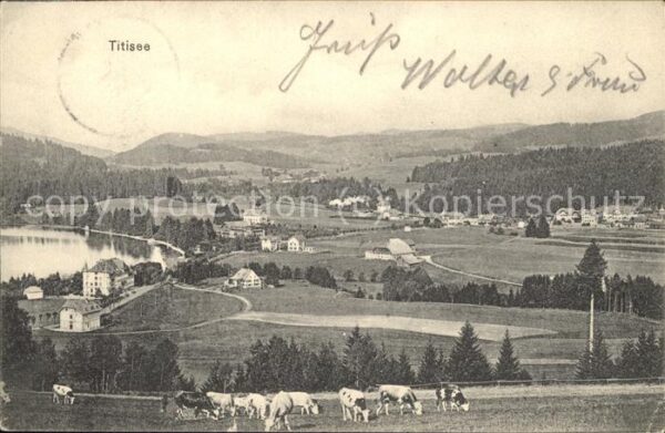 Titisee Panorama mit See