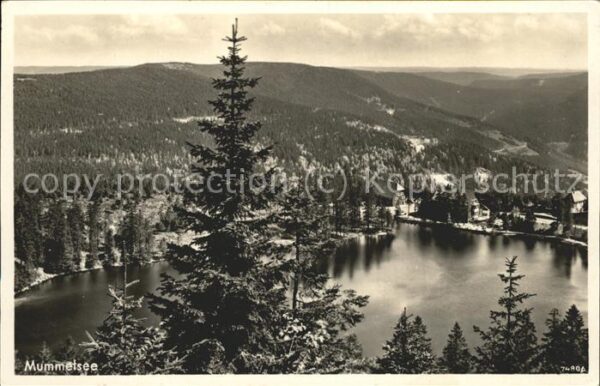 Mummelsee See von oben