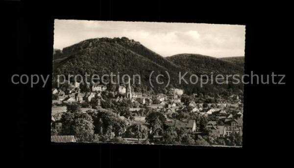 Bad Harzburg Panorama