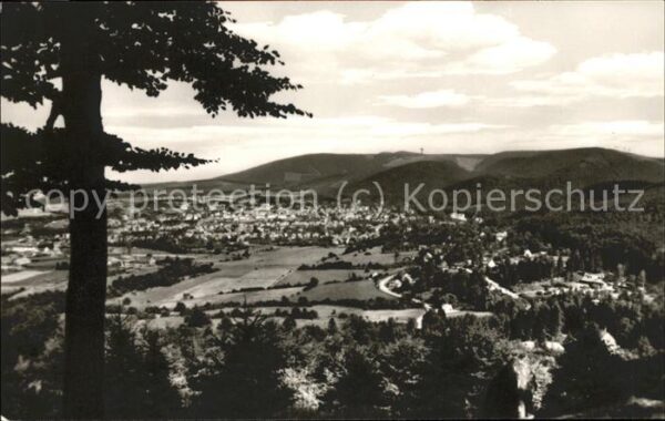 Bad Harzburg Blick vom Elfenstein