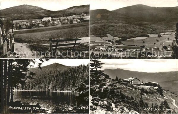 Arnbruck Drachselried Arbersee Arberschutzhaus