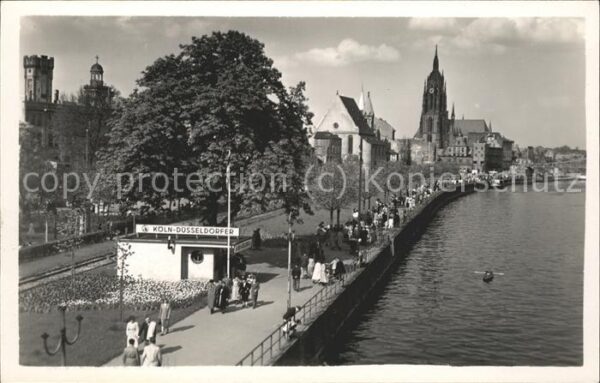 Frankfurt Main Mainpromenade Dom