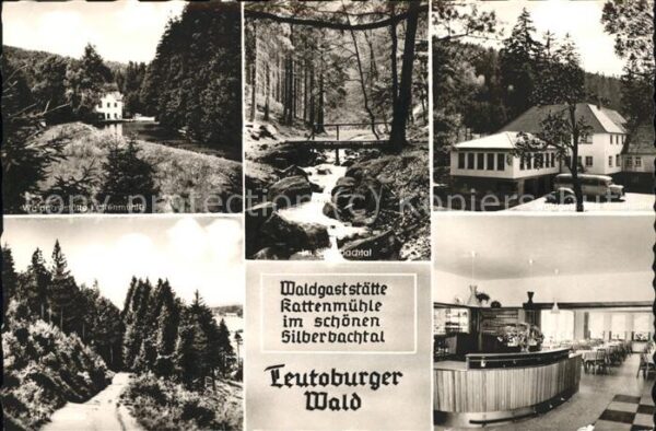 Teutoburgerwald Waldgasstätte Kattenmühle