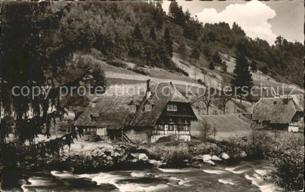 Schwarzwald Schwarzwaldhaus