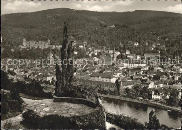Heidelberg Neckar Blick vom Philosophenweg