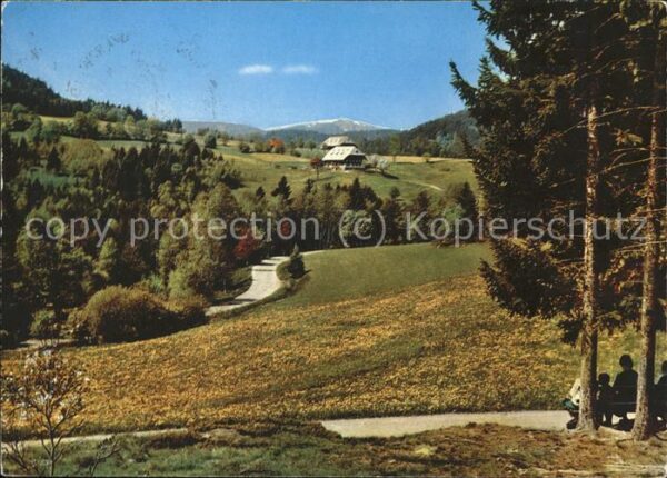 Hinterzarten