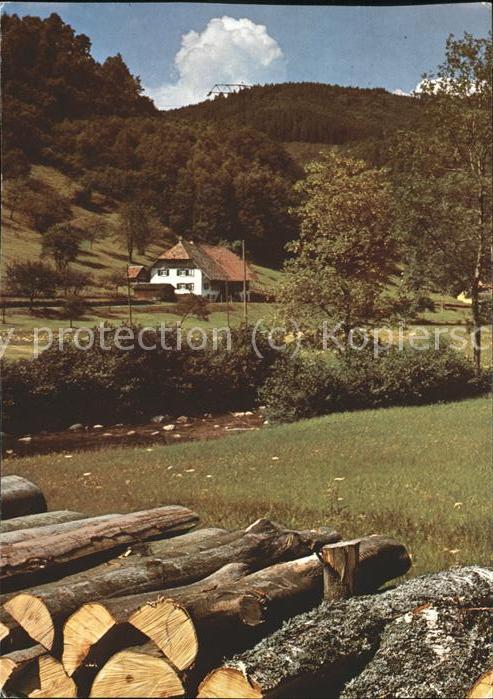 Schoenwald Schwarzwald Im Elztal