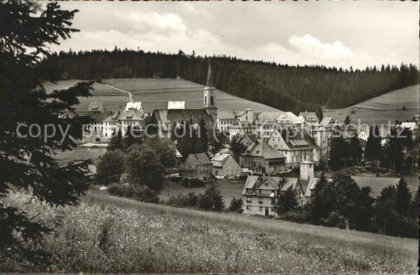 Schoenwald Schwarzwald Panorama