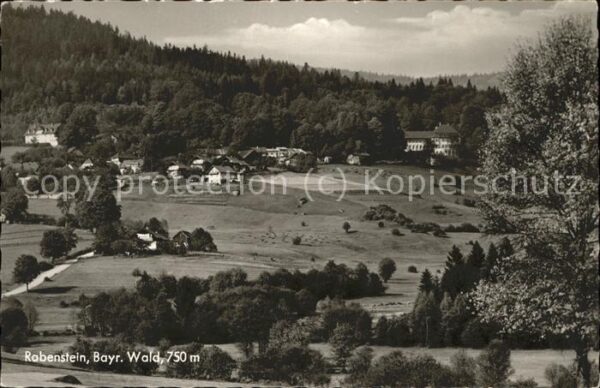 Rabenstein Zwiesel Panorama