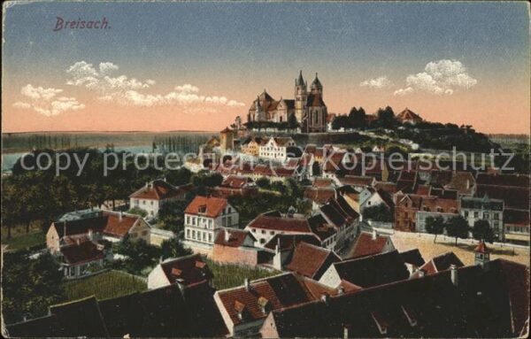Breisach Rhein Panorama mit Münster