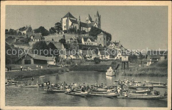Breisach Rhein Panorama mit Münster Ruderboote