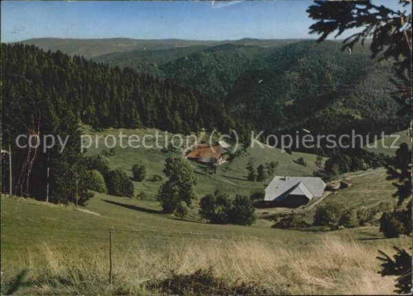 Schonach Schwarzwald Paradies