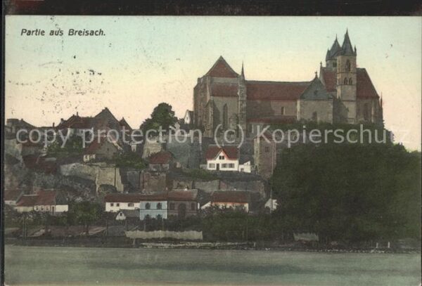 Breisach Rhein Rhein-Panorama mit Münster